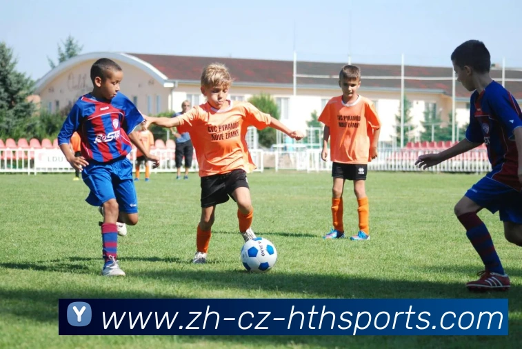 华体会登录入口品牌故事